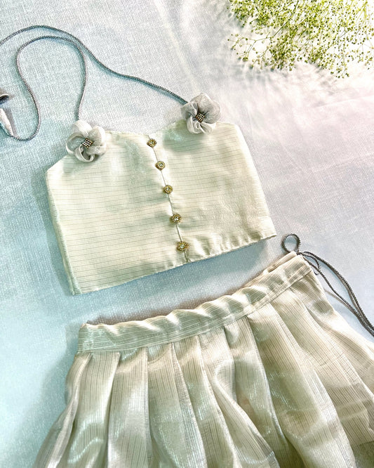 Silver Shimmer Lehenga Set