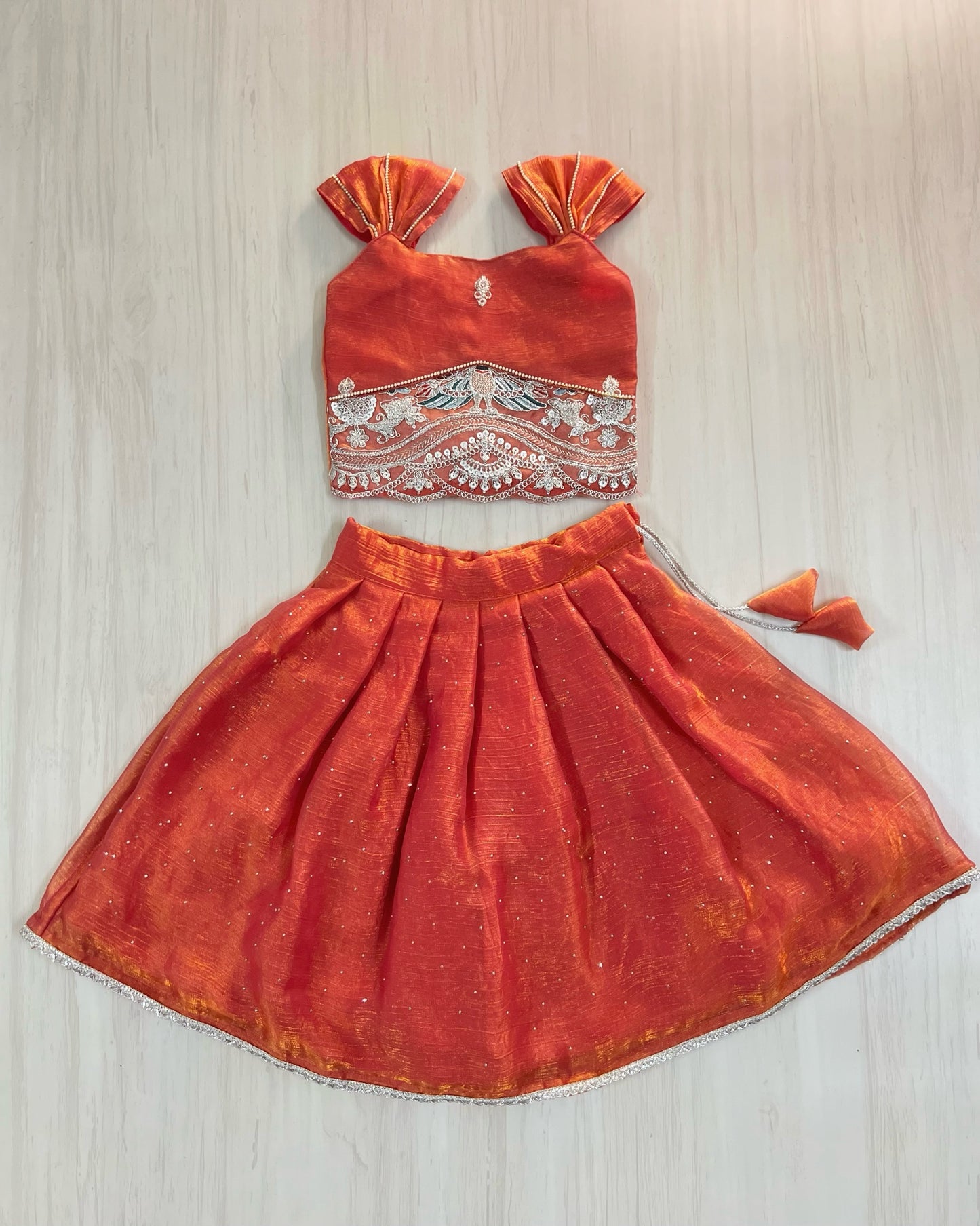 Deep Coral Silver Embroidered Stunning Lehenga Set