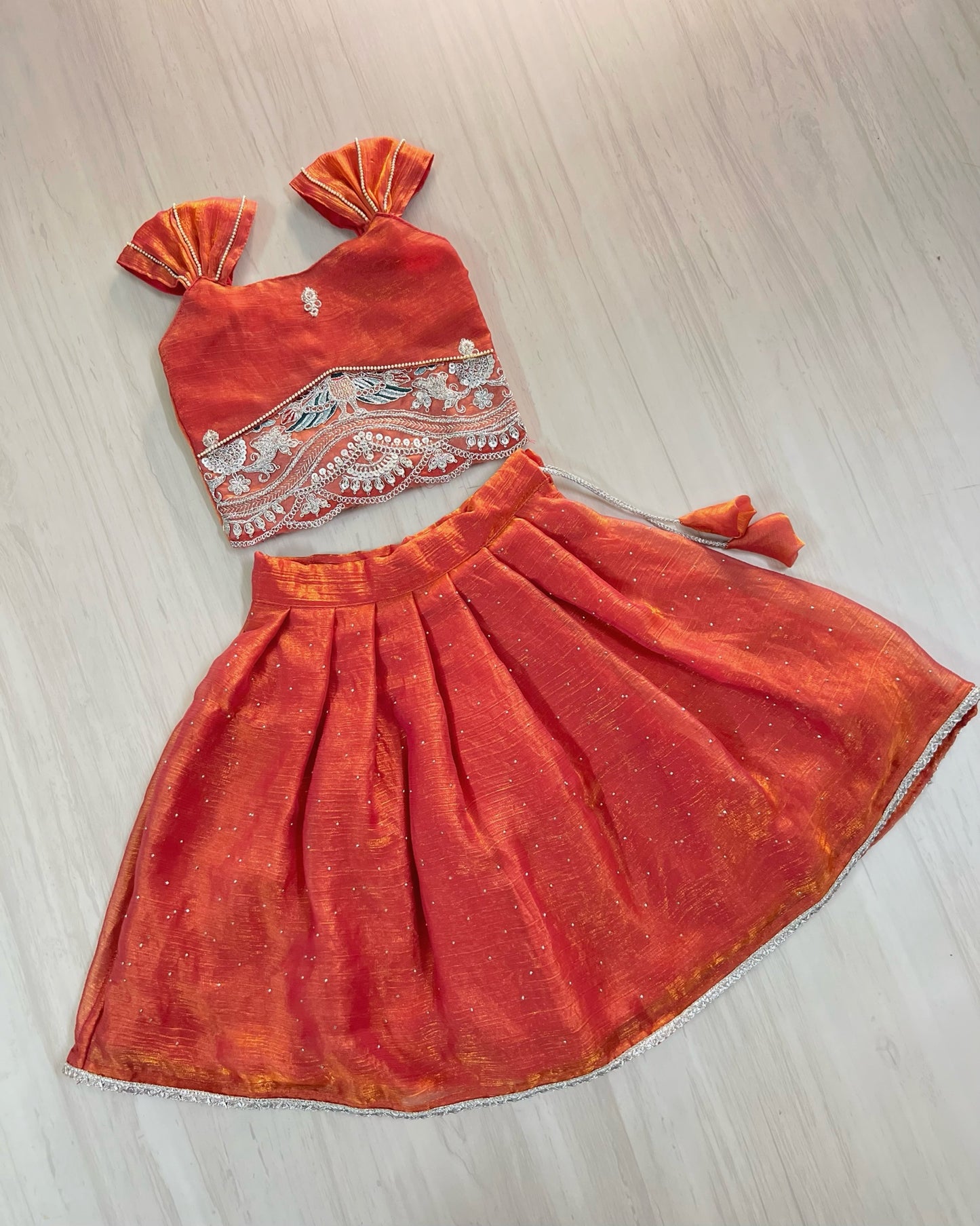 Deep Coral Silver Embroidered Stunning Lehenga Set